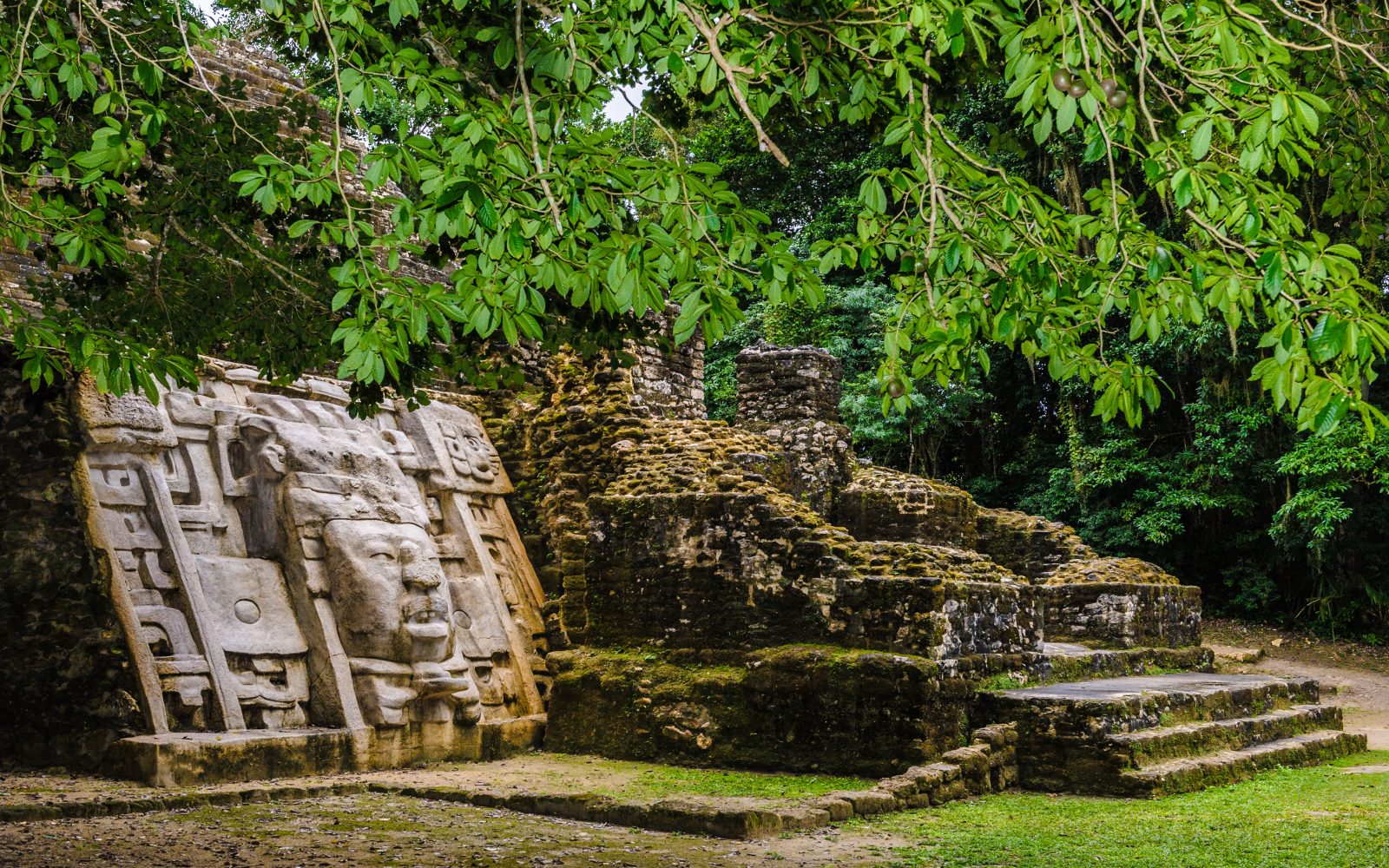 Captivating Mayan Cities !   