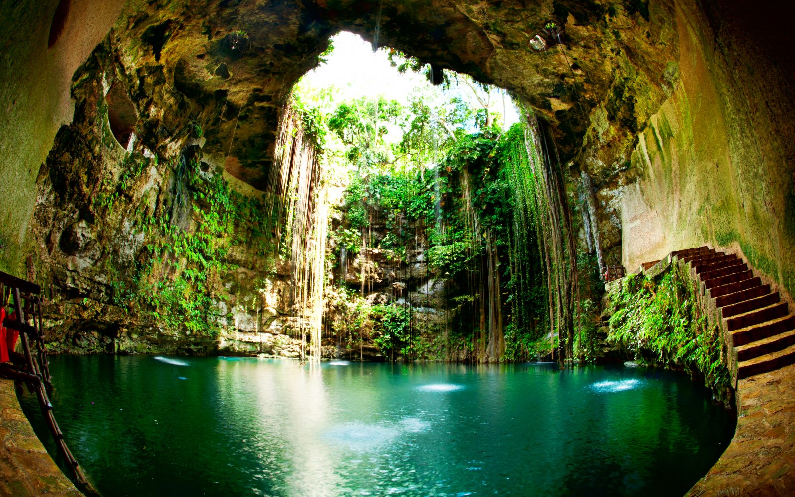 Les Cenotes, véritables jardins d'Eden !